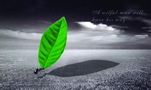 一位天使投資人的感悟:何謂創業精神 一位天使投資人的感悟:何謂創業精神