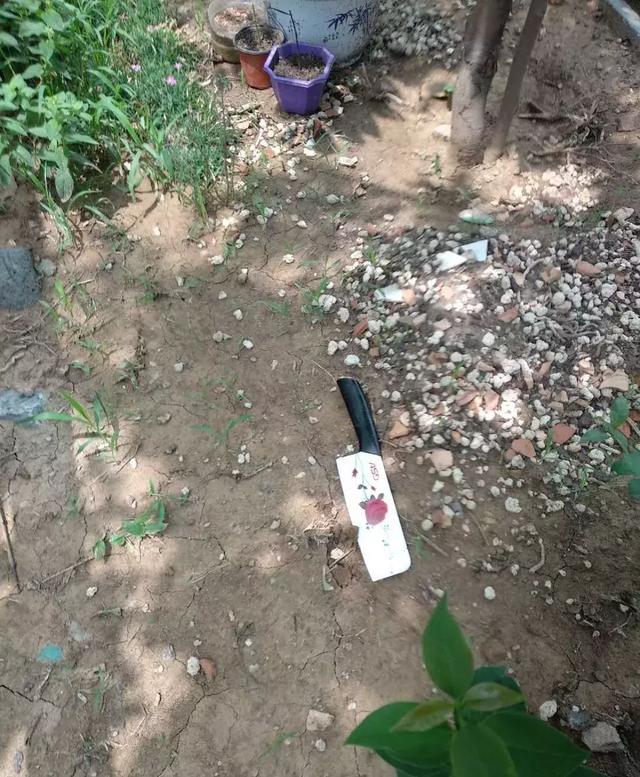 三把菜刀從天而降 小區保安選擇不報警 小區居民卻心慌慌